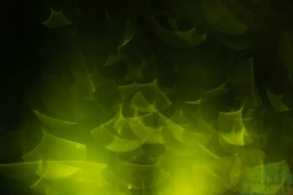 Billion Kazino Atbalsts